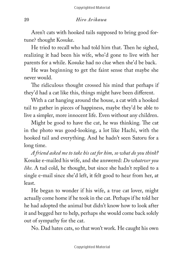 the travelling cat chronicles