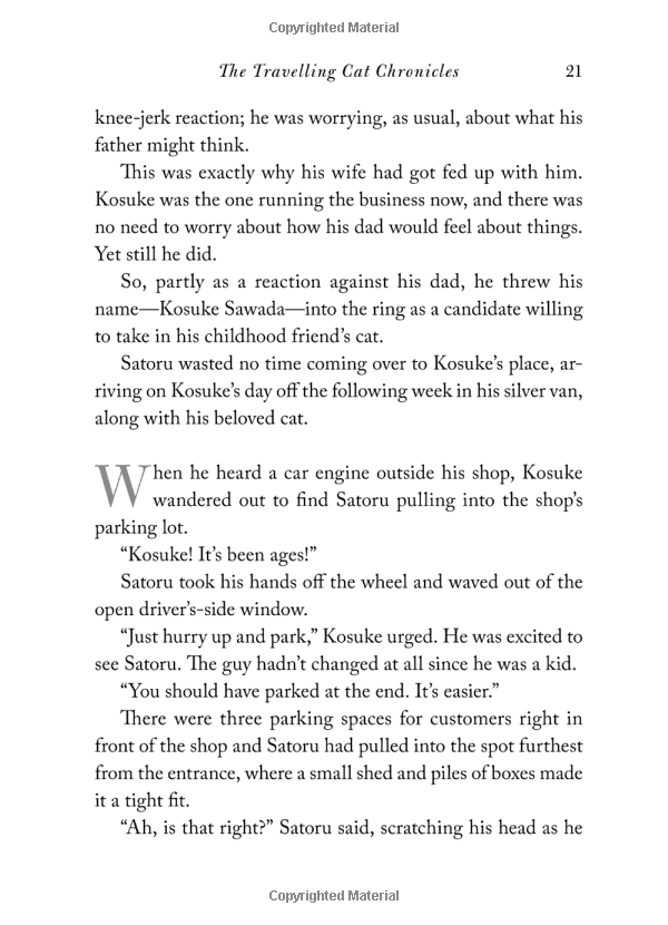 the travelling cat chronicles