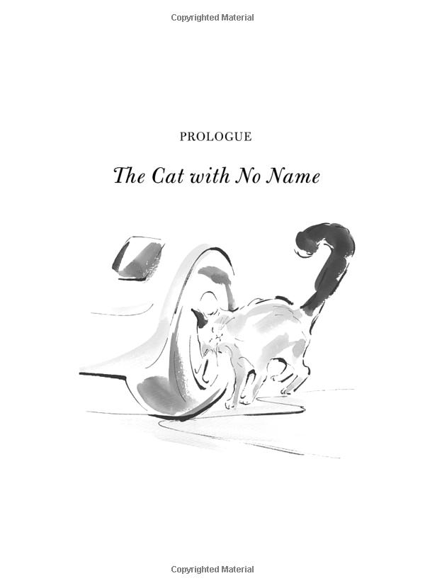 the travelling cat chronicles