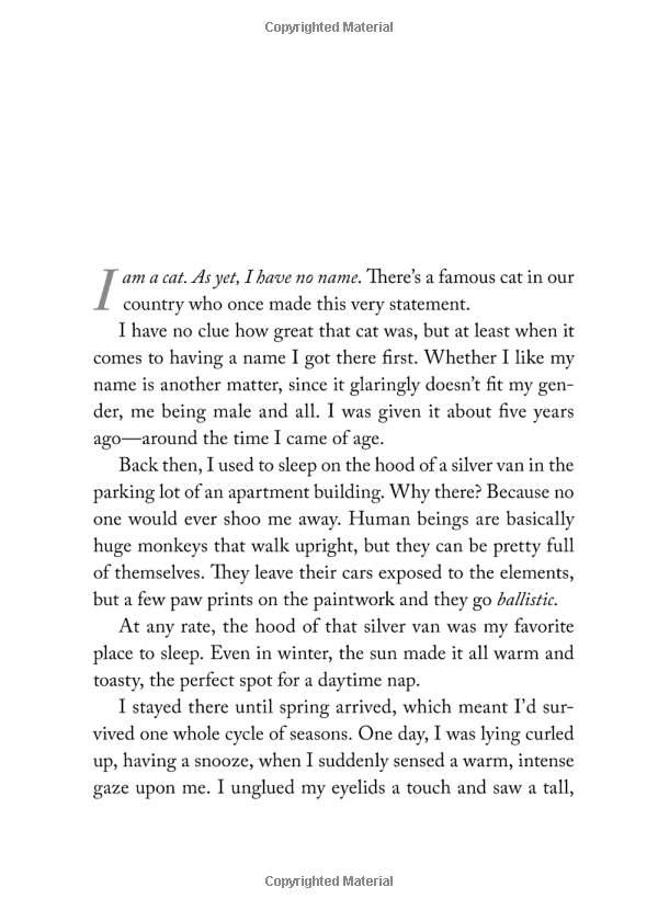 the travelling cat chronicles