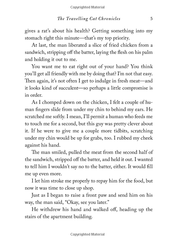 the travelling cat chronicles