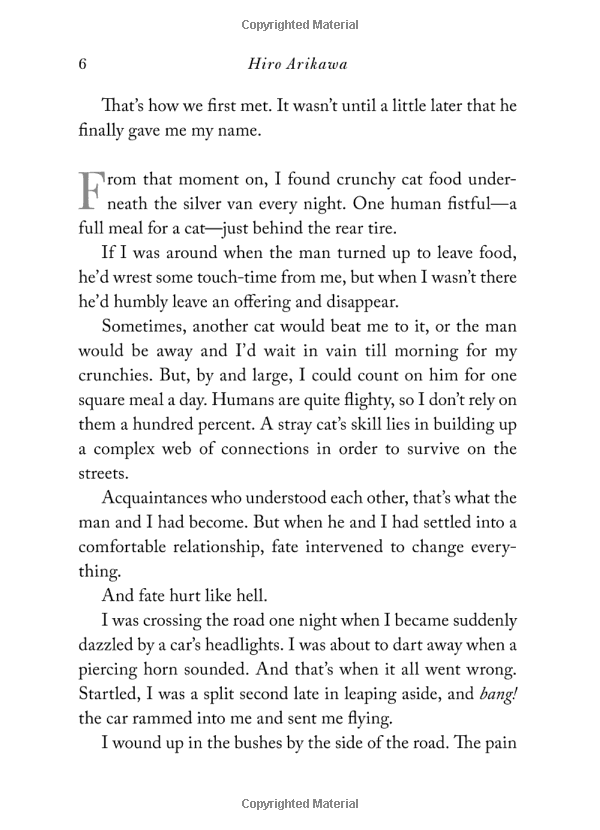 the travelling cat chronicles