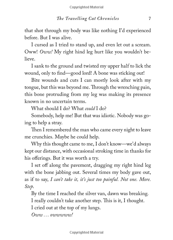 the travelling cat chronicles