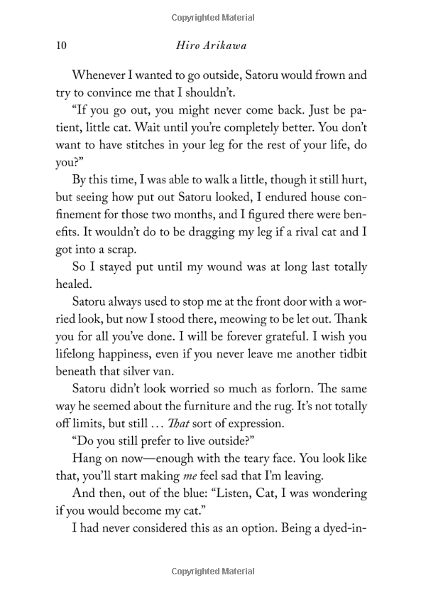 the travelling cat chronicles