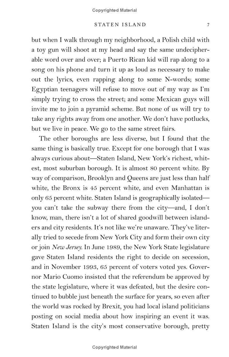 the undocumented americans