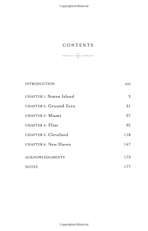 the undocumented americans