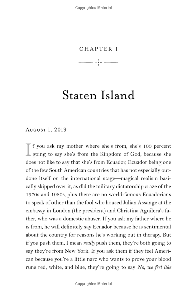 the undocumented americans