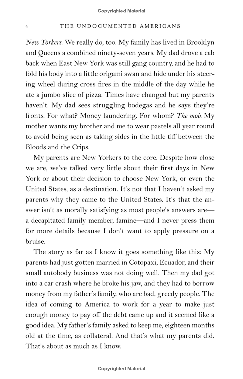 the undocumented americans