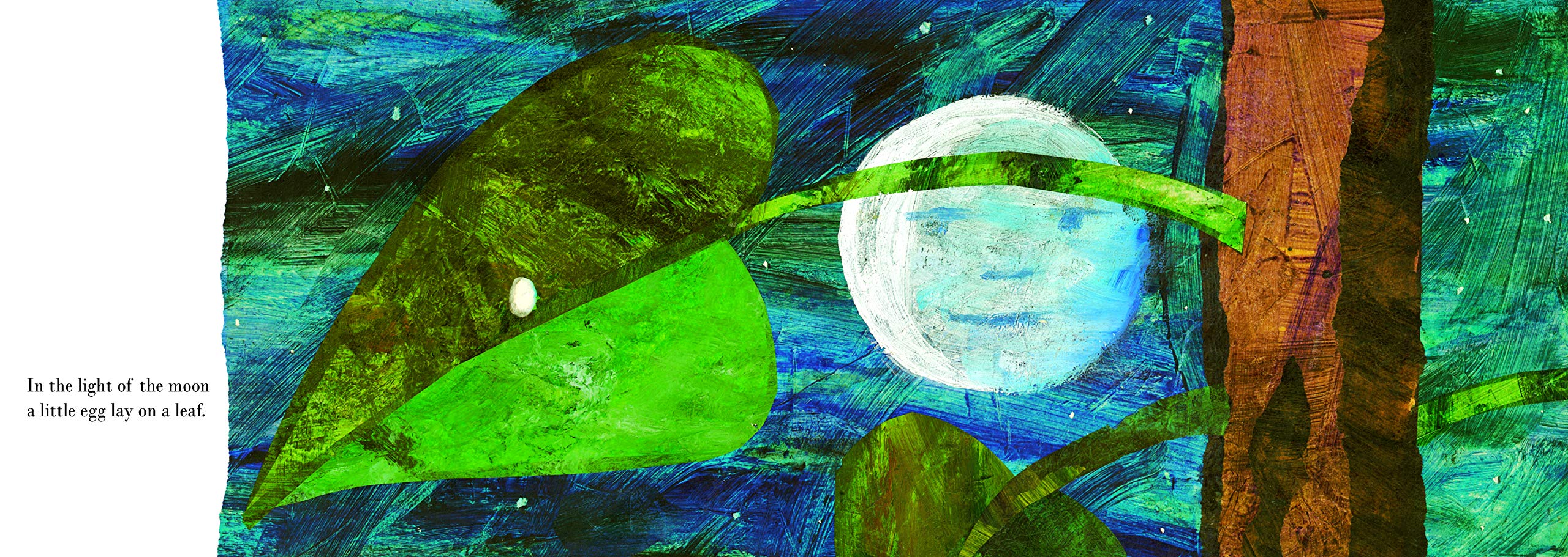 the very hungry caterpillar