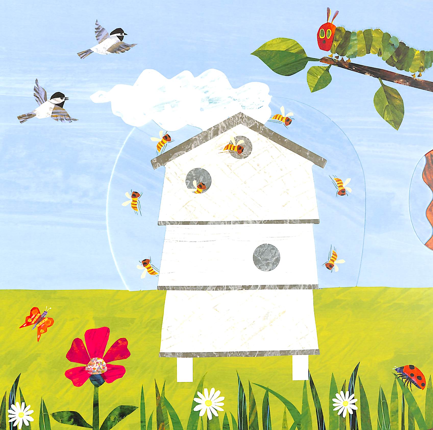 the very hungry caterpillarℹs garden