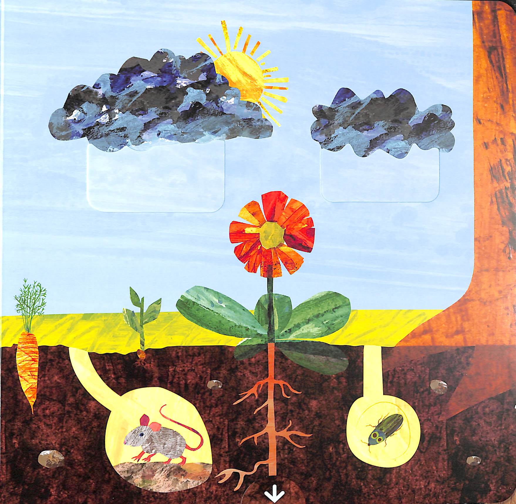 the very hungry caterpillarℹs garden