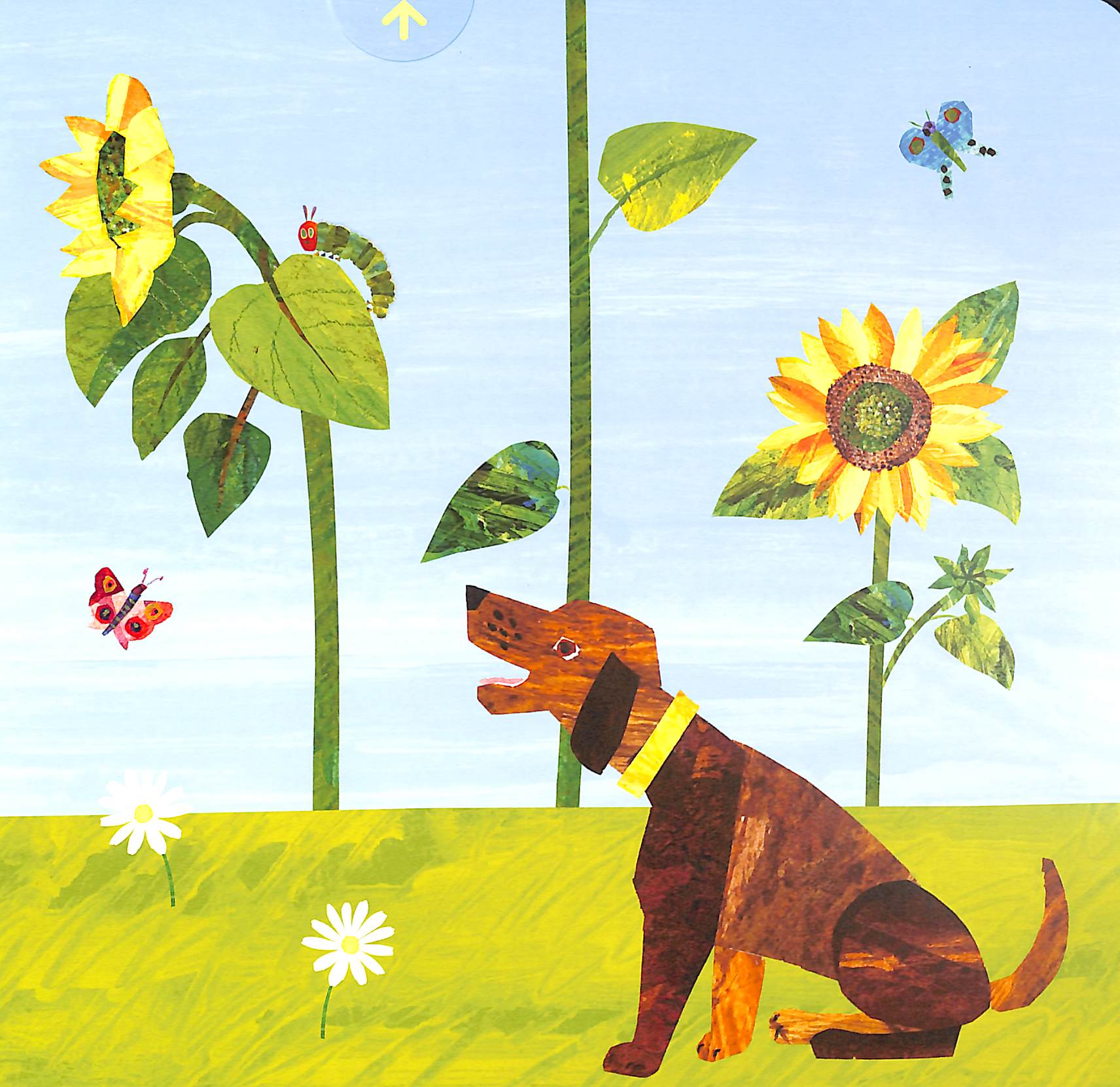 the very hungry caterpillarℹs garden