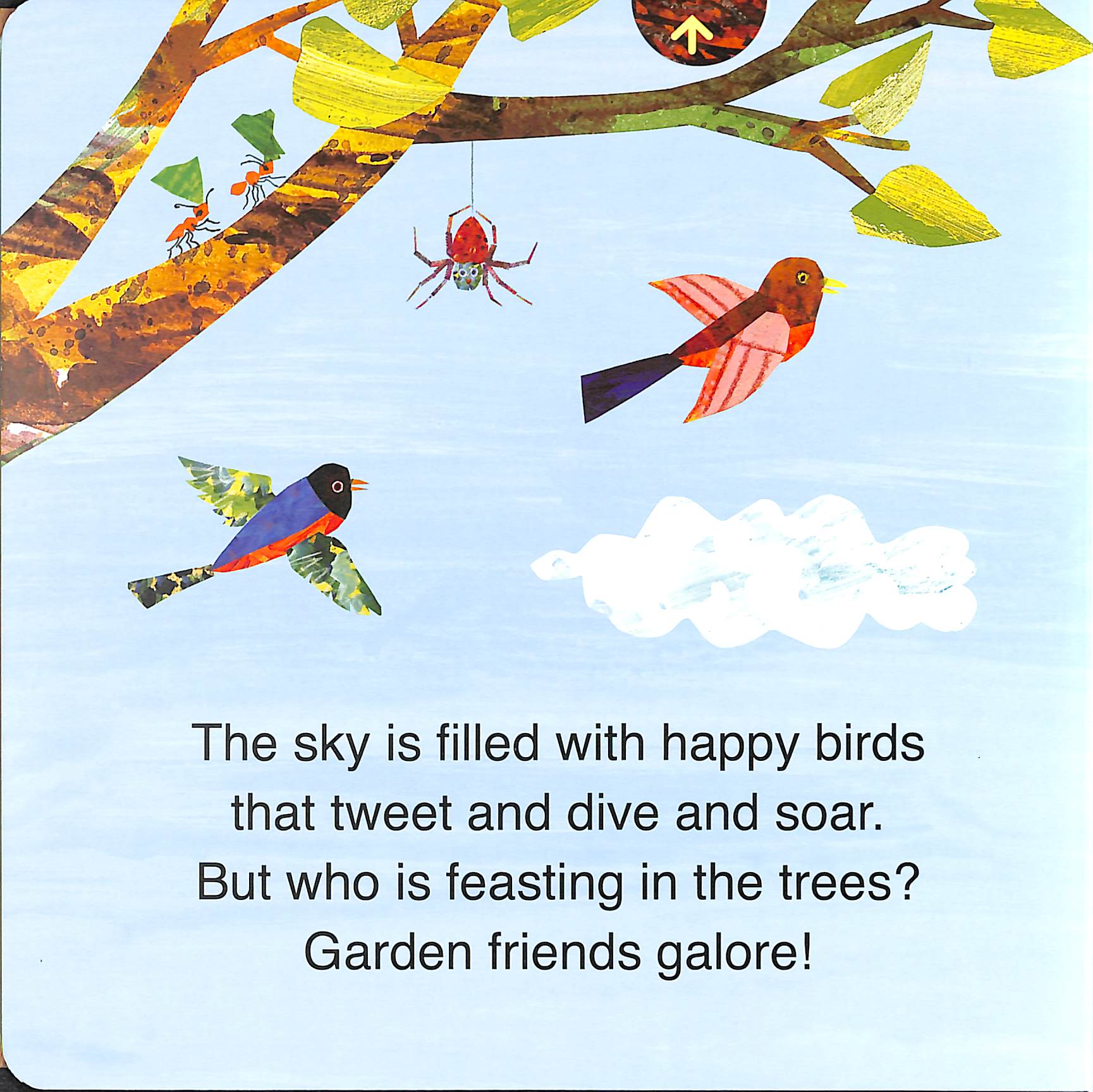 the very hungry caterpillarℹs garden