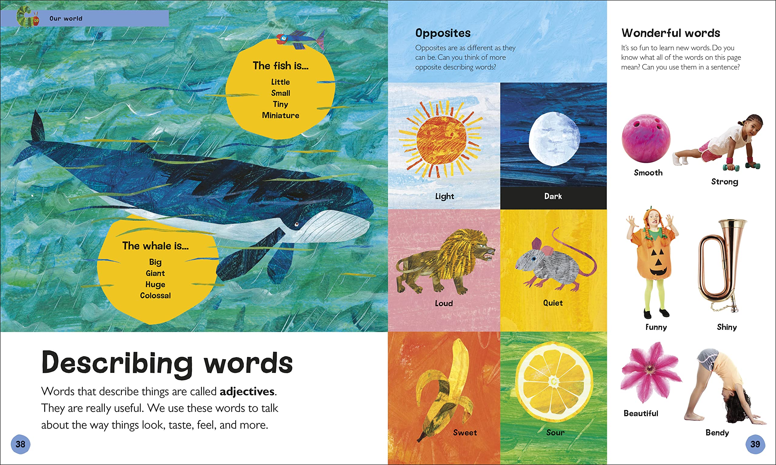 the very hungry caterpillar's very first encyclopedia