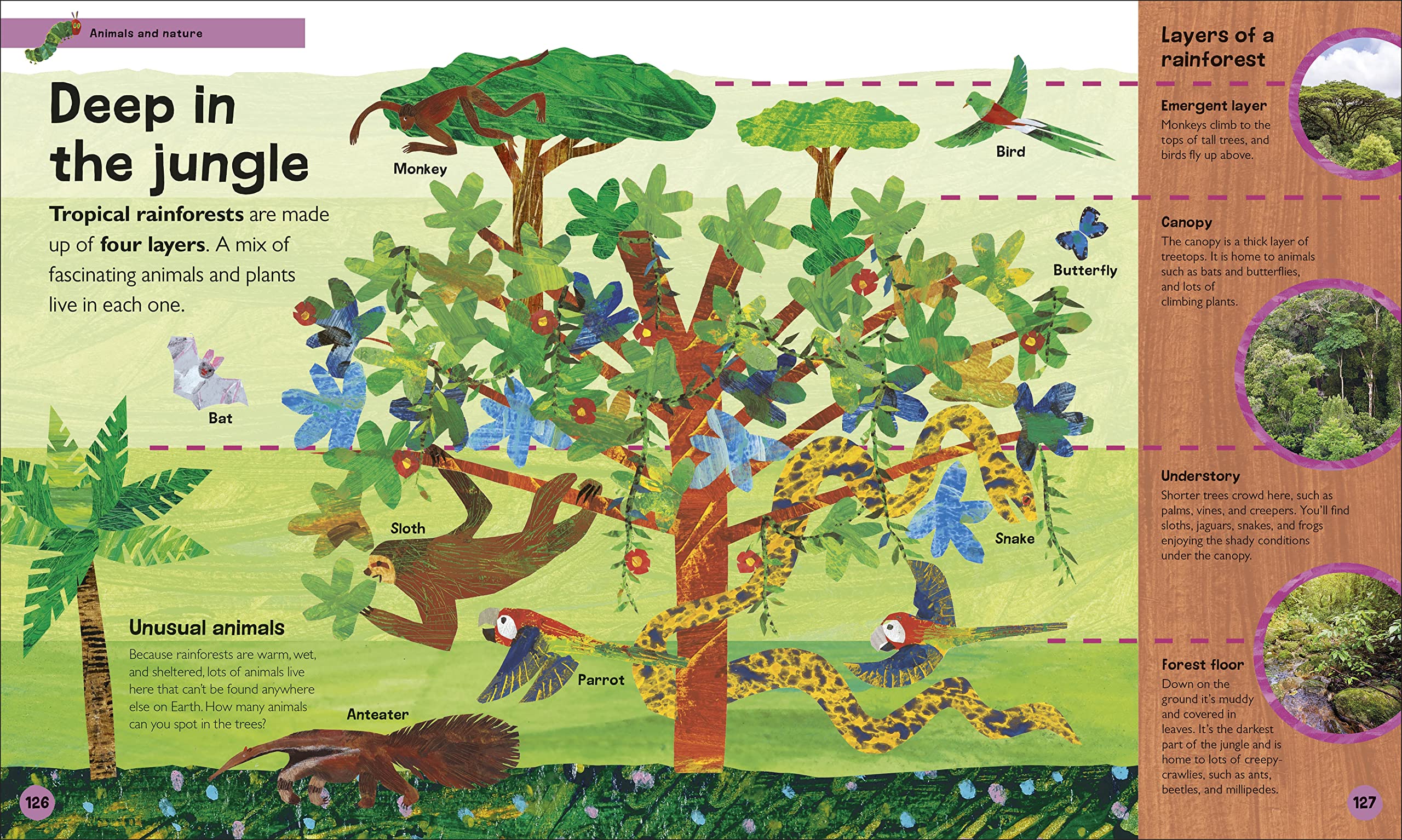 the very hungry caterpillar's very first encyclopedia