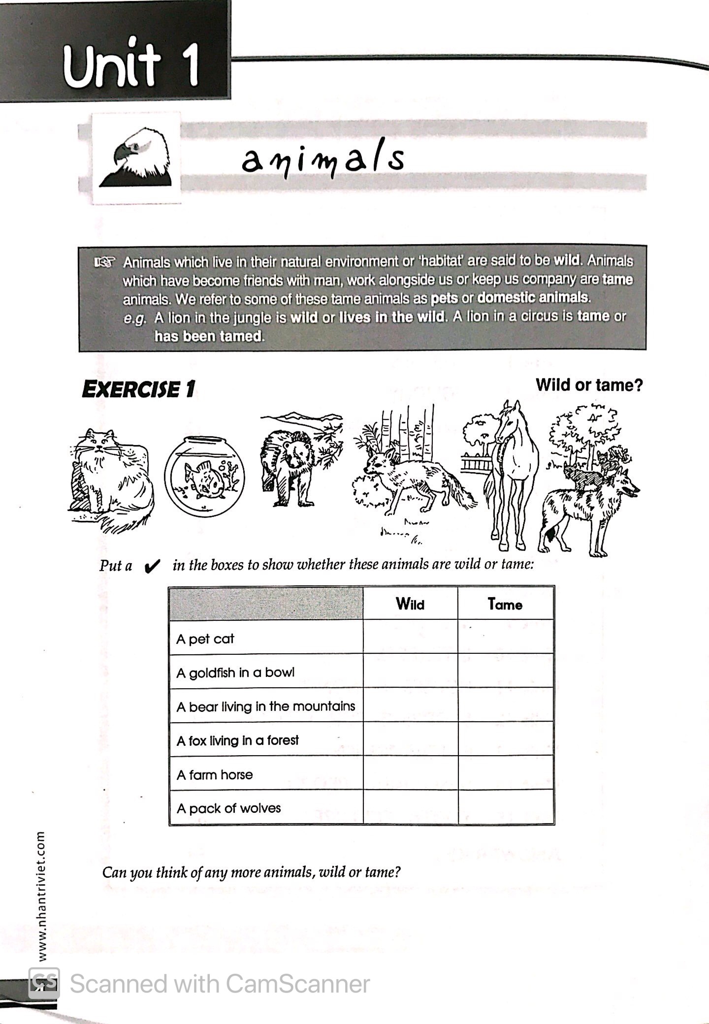 the vocabulary files - a2 level