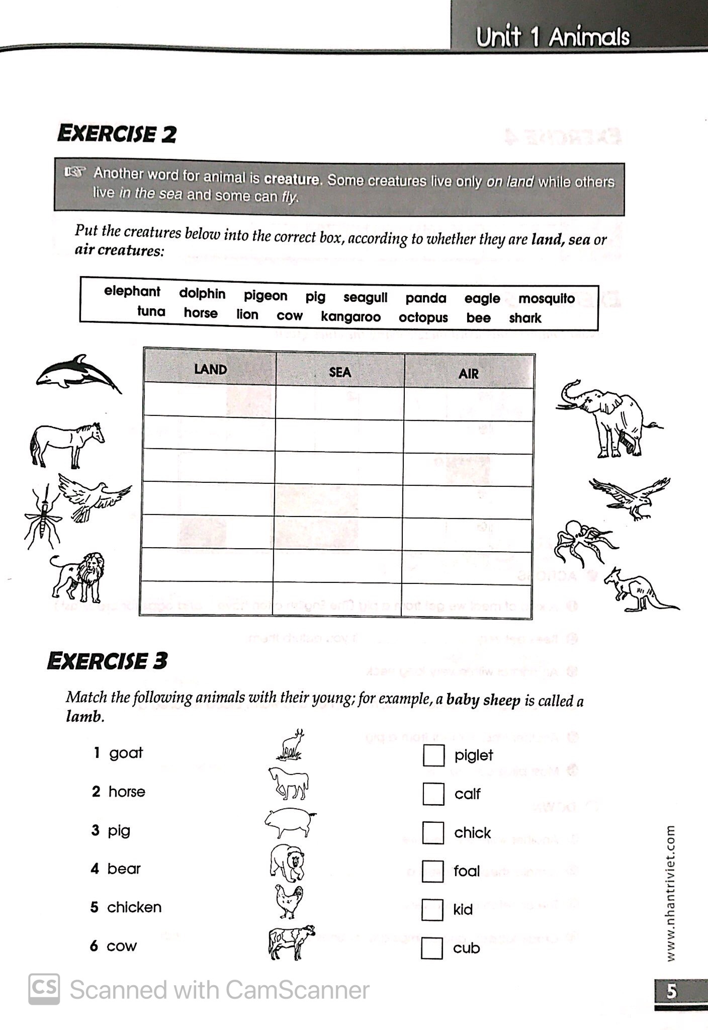 the vocabulary files - a2 level