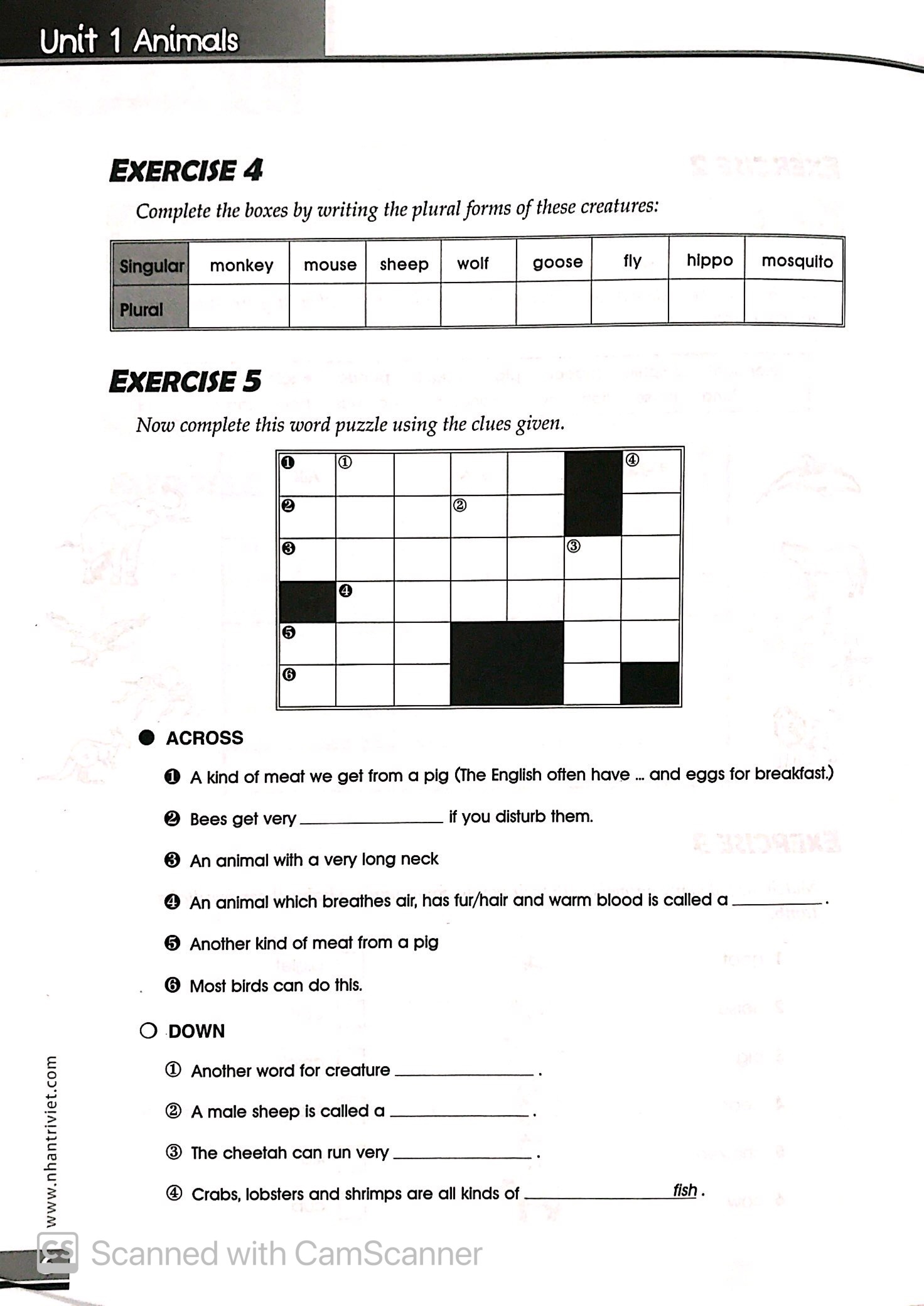 the vocabulary files - a2 level