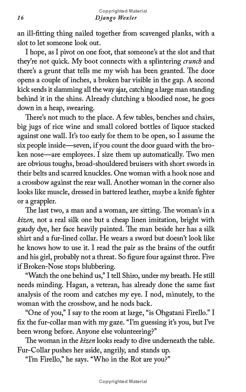 the wells of sorcery book 1: ship of smoke and steel