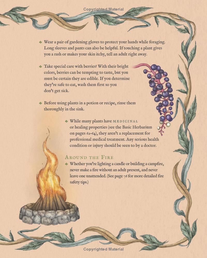 The Wheel Of The Year - An Illustrated Guide To Nature's Rhythms