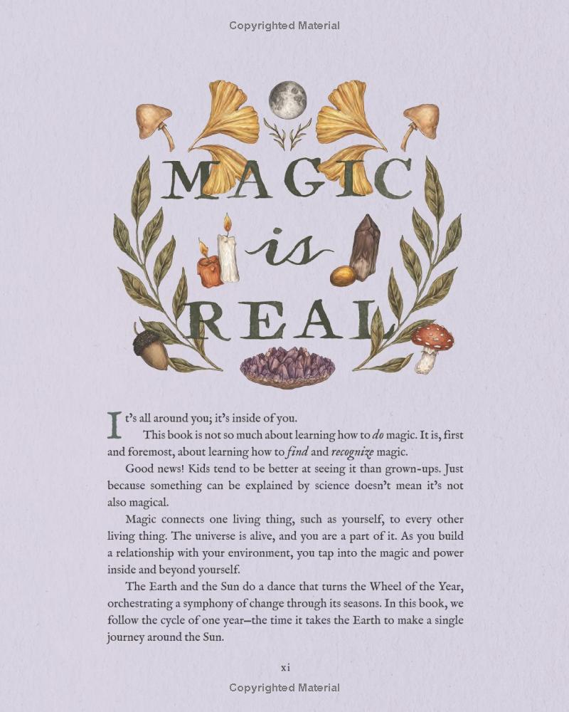 The Wheel Of The Year - An Illustrated Guide To Nature's Rhythms