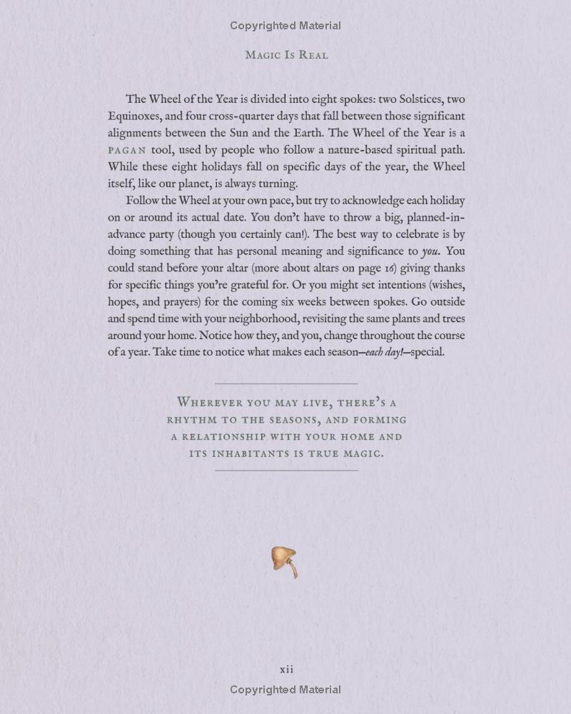 The Wheel Of The Year - An Illustrated Guide To Nature's Rhythms