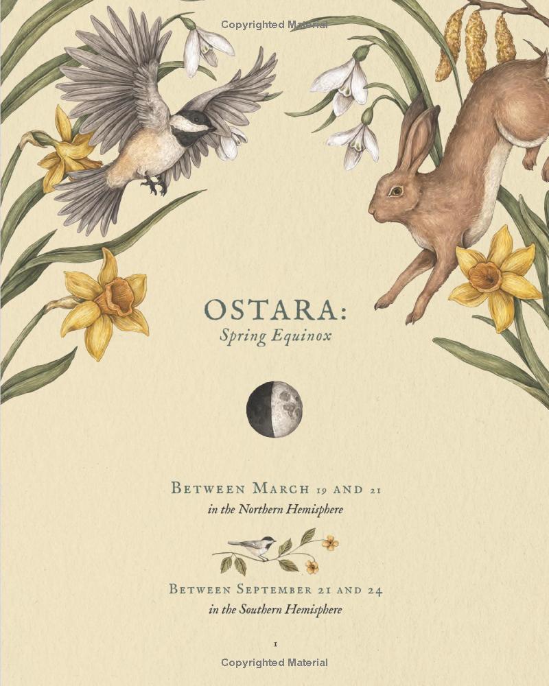 The Wheel Of The Year - An Illustrated Guide To Nature's Rhythms