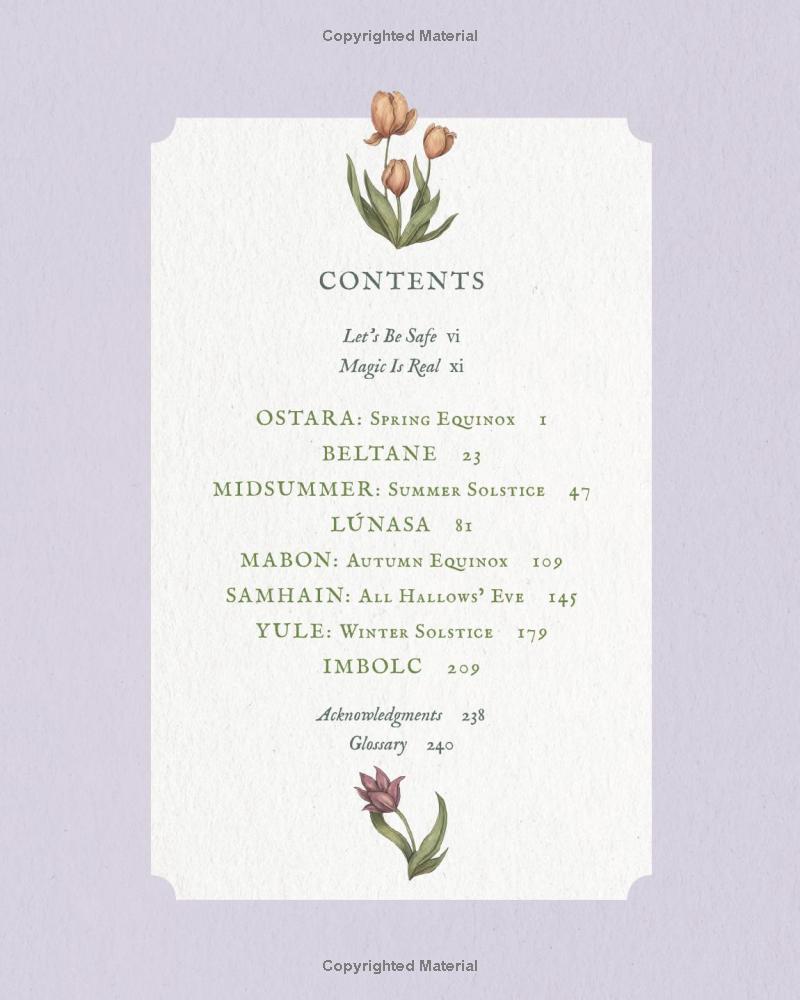 The Wheel Of The Year - An Illustrated Guide To Nature's Rhythms