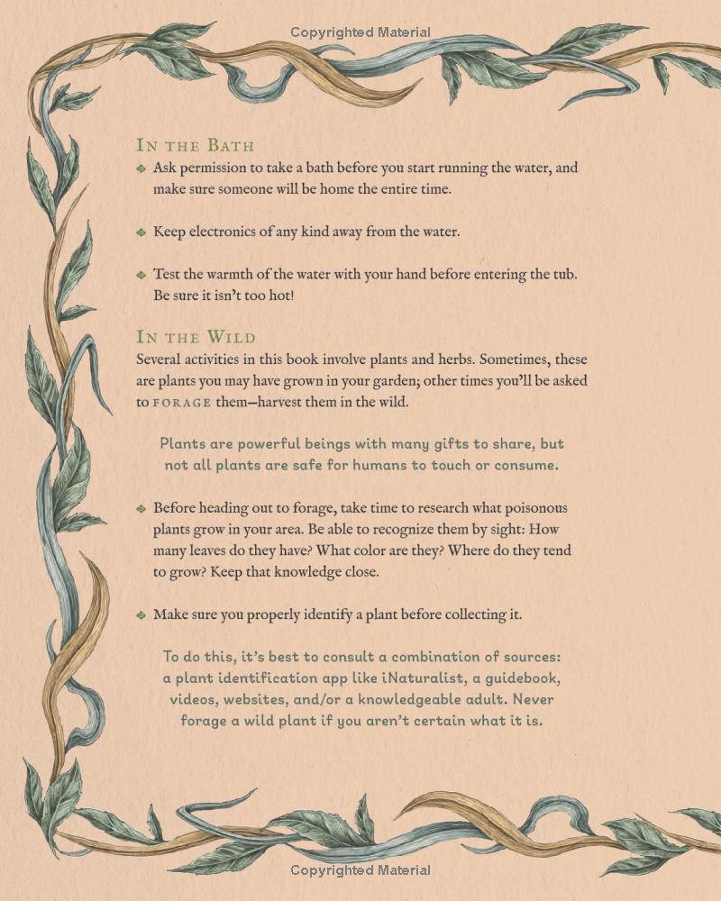 The Wheel Of The Year - An Illustrated Guide To Nature's Rhythms