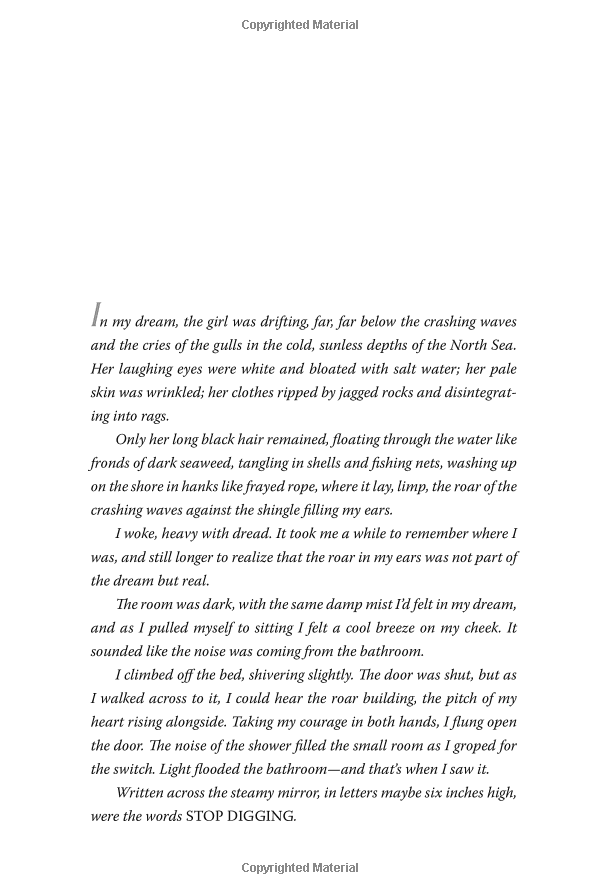 the woman in cabin 10