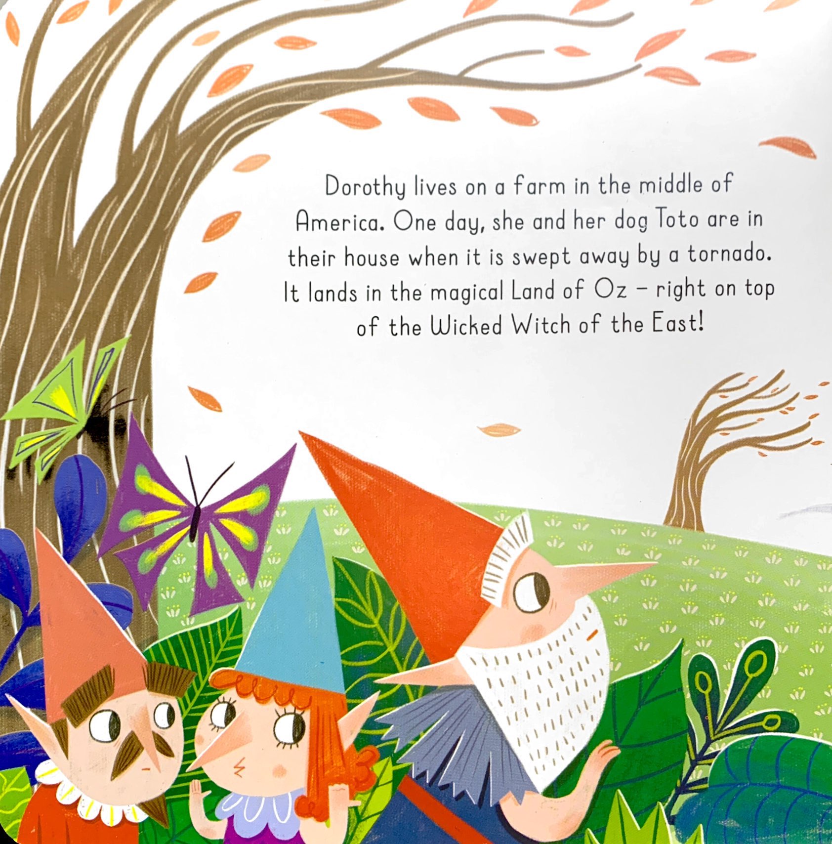 the wonderful wizard of oz (classic story sound book)