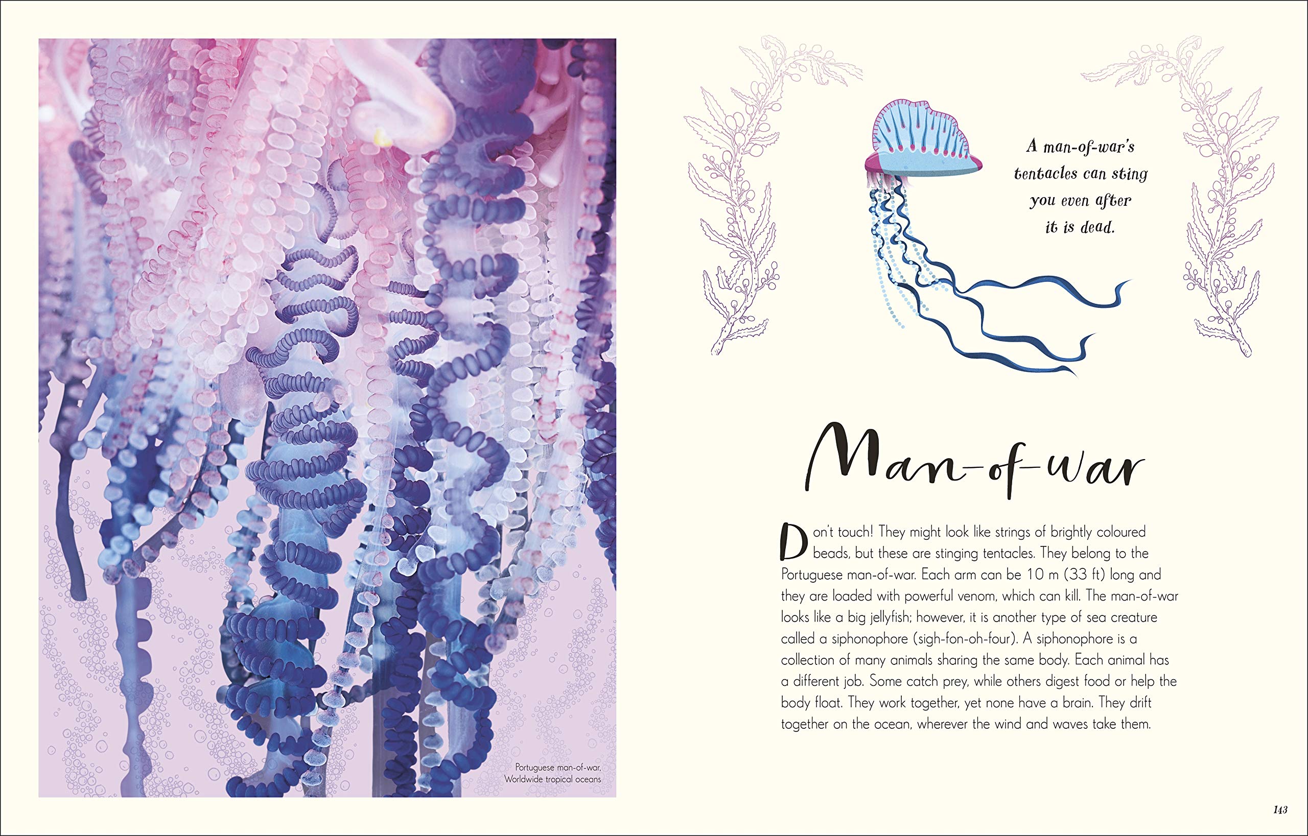 the wonders of nature