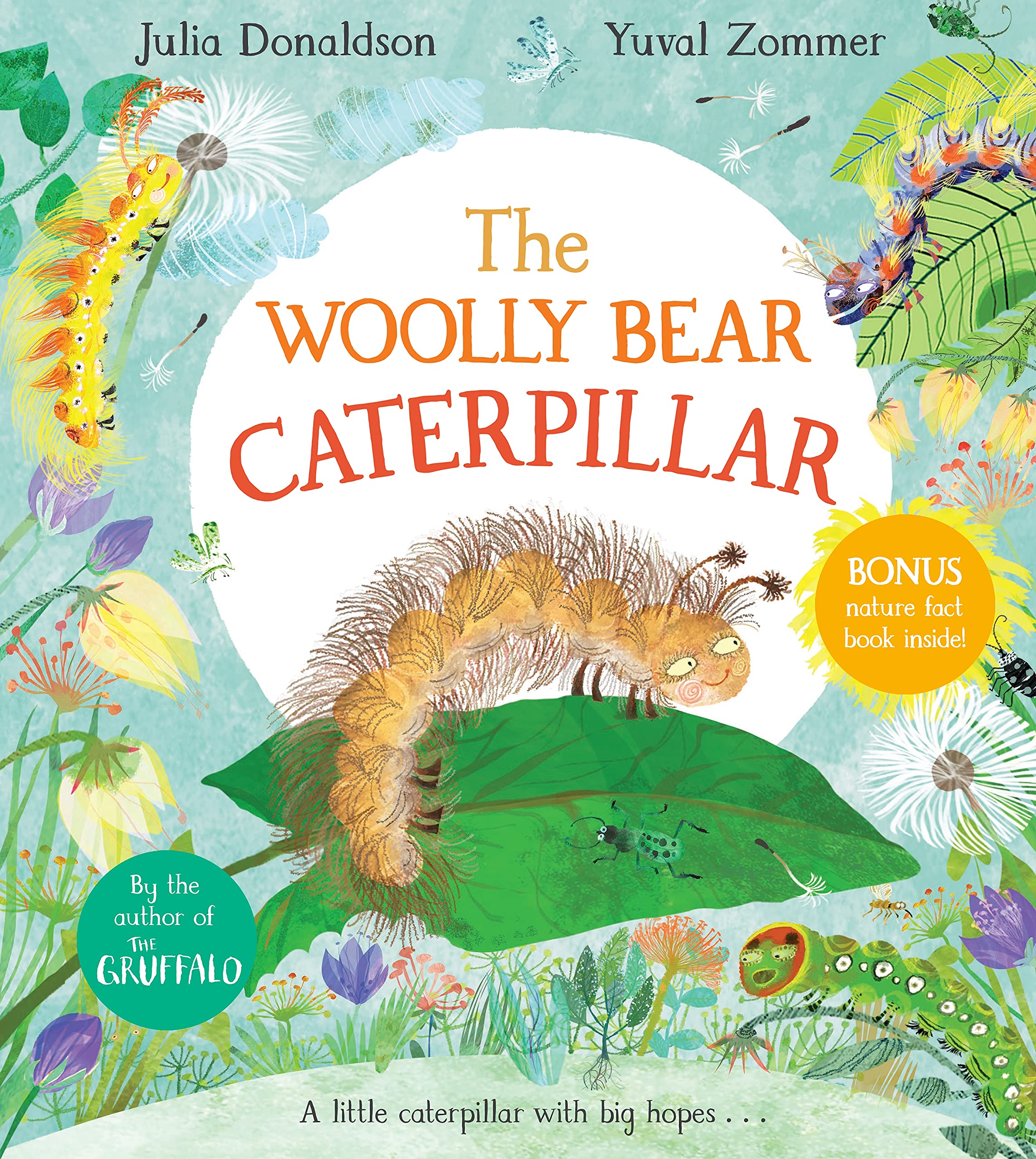 the woolly bear caterpillar