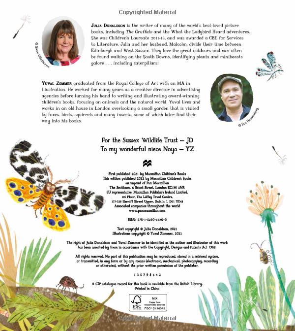 the woolly bear caterpillar