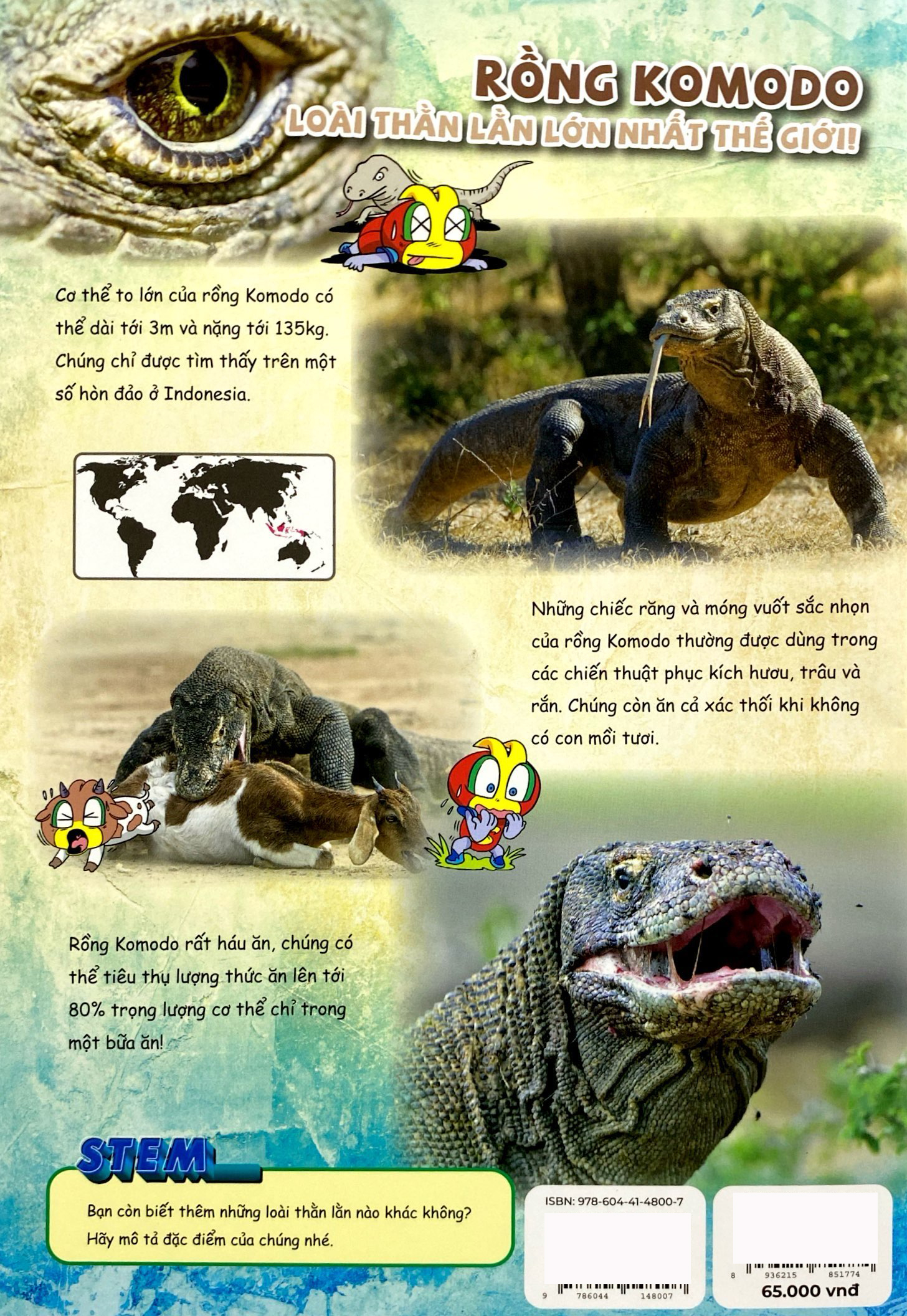 the young scientists - truyện tranh khoa học cho trẻ em - level 1 - tập 12 - tại sao mèo đột nhiên hưng phấn thế?!