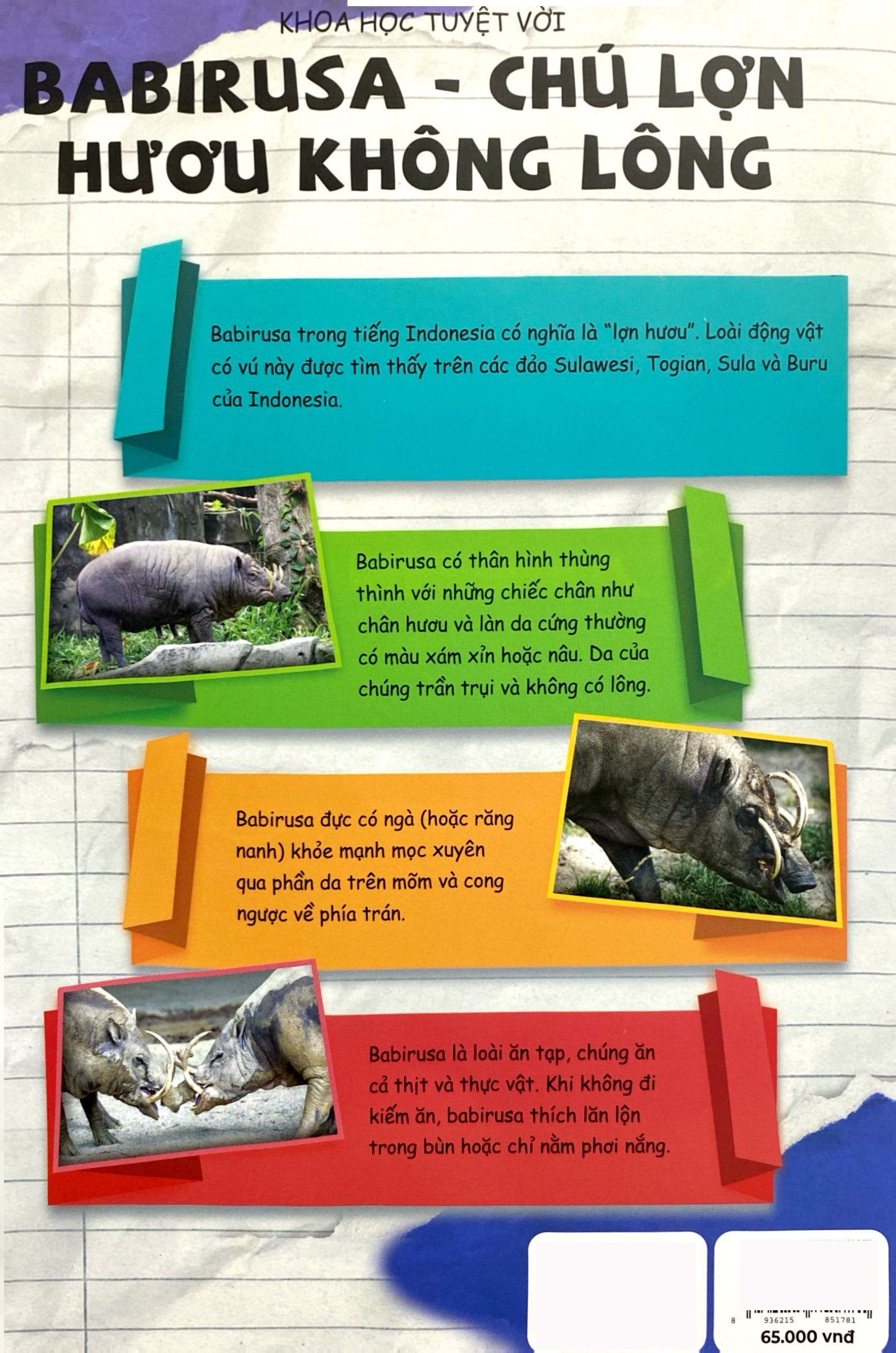 the young scientists - truyện tranh khoa học cho trẻ em - level 2 - tập 12 - giải cứu tê giác trắng