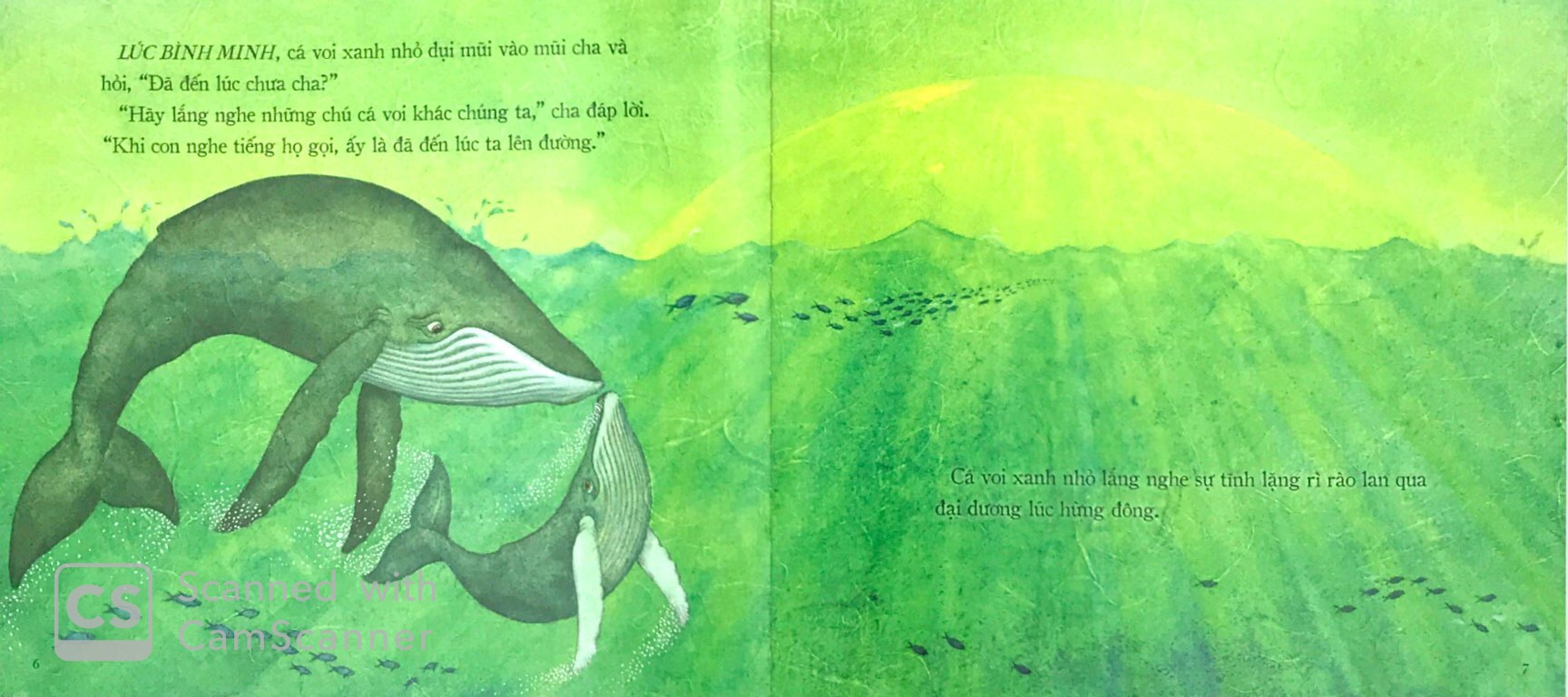 theo bài hát của cha