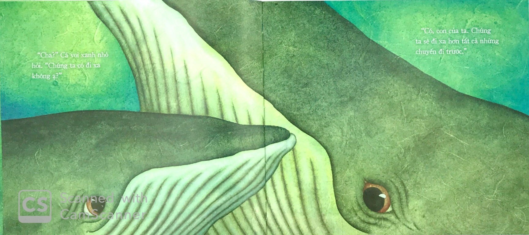 theo bài hát của cha