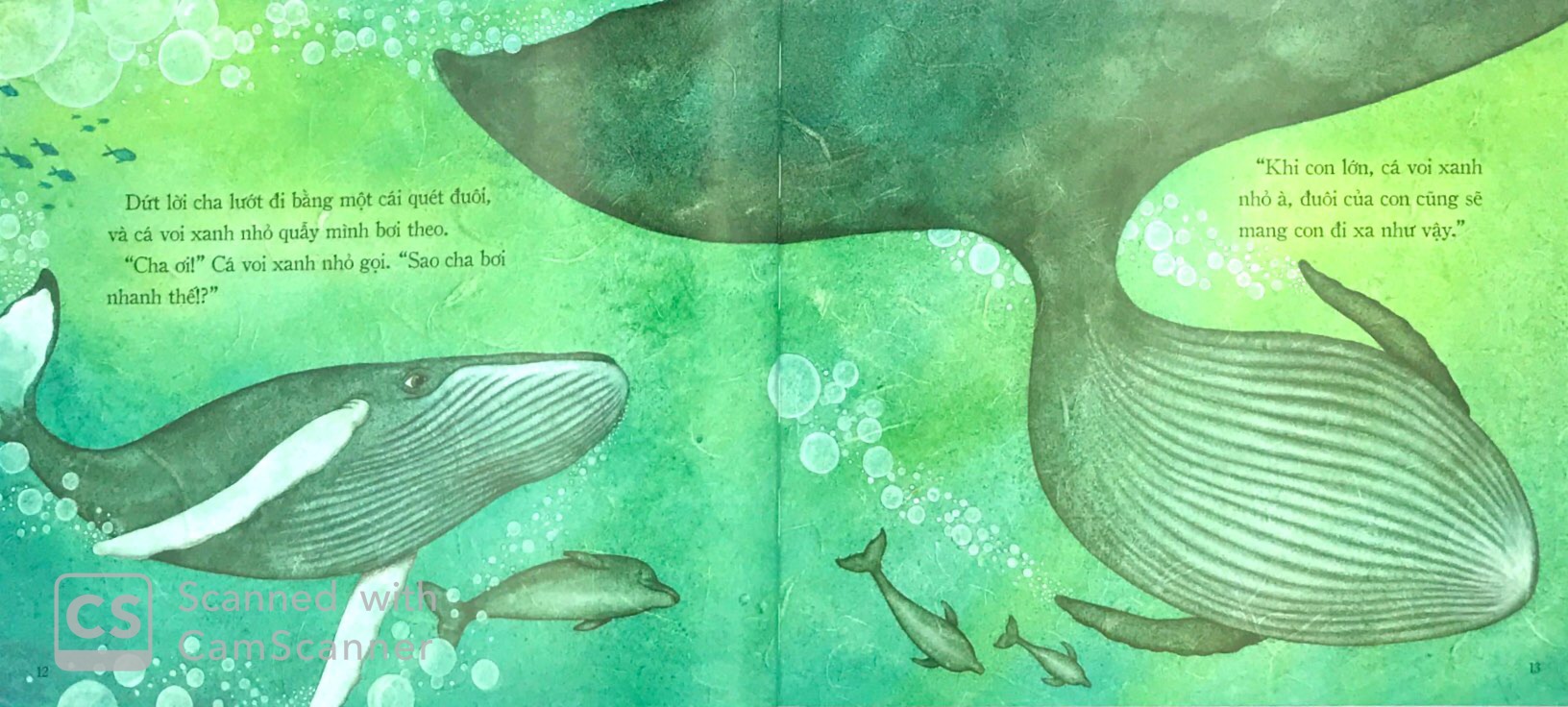 theo bài hát của cha