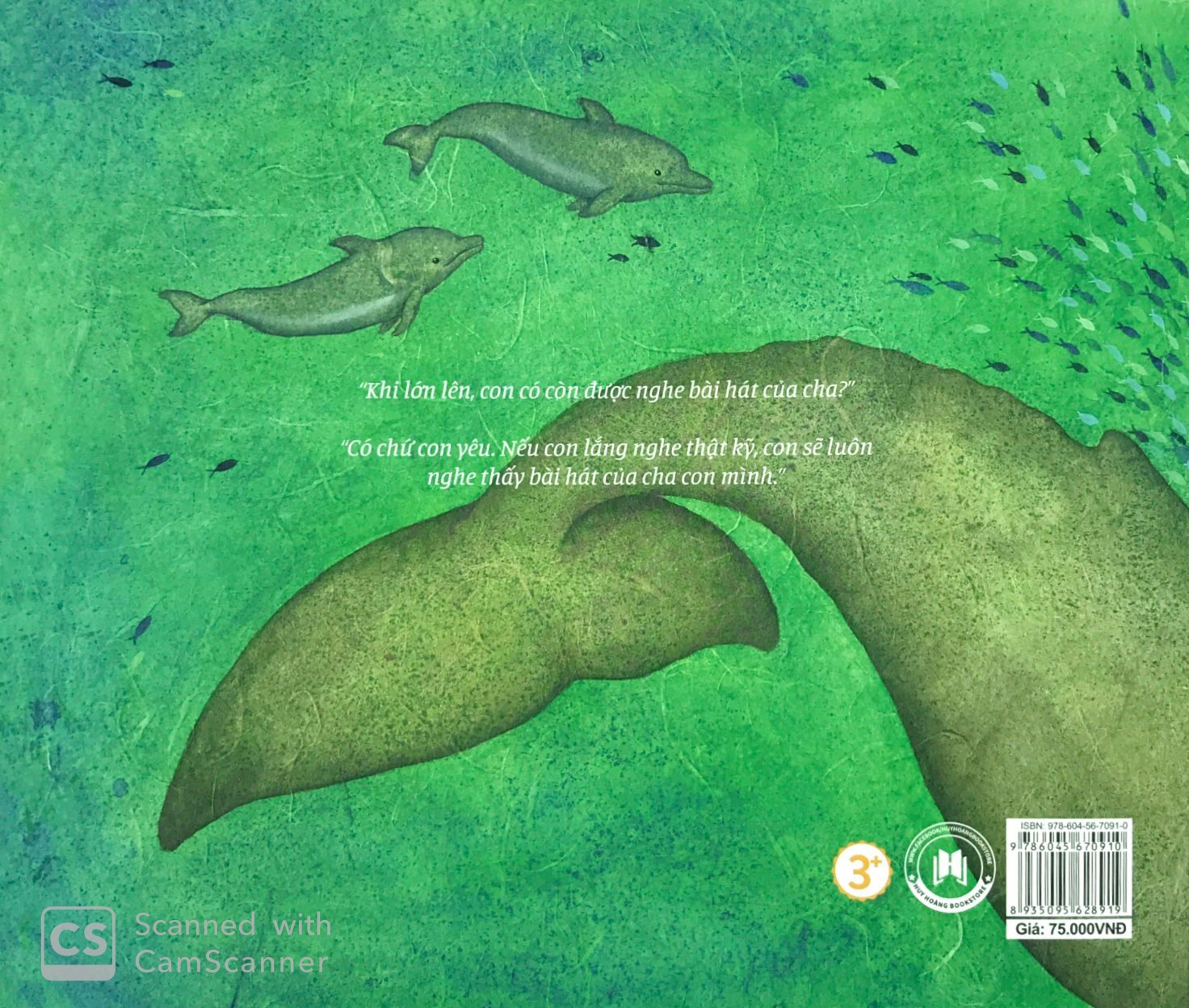 theo bài hát của cha