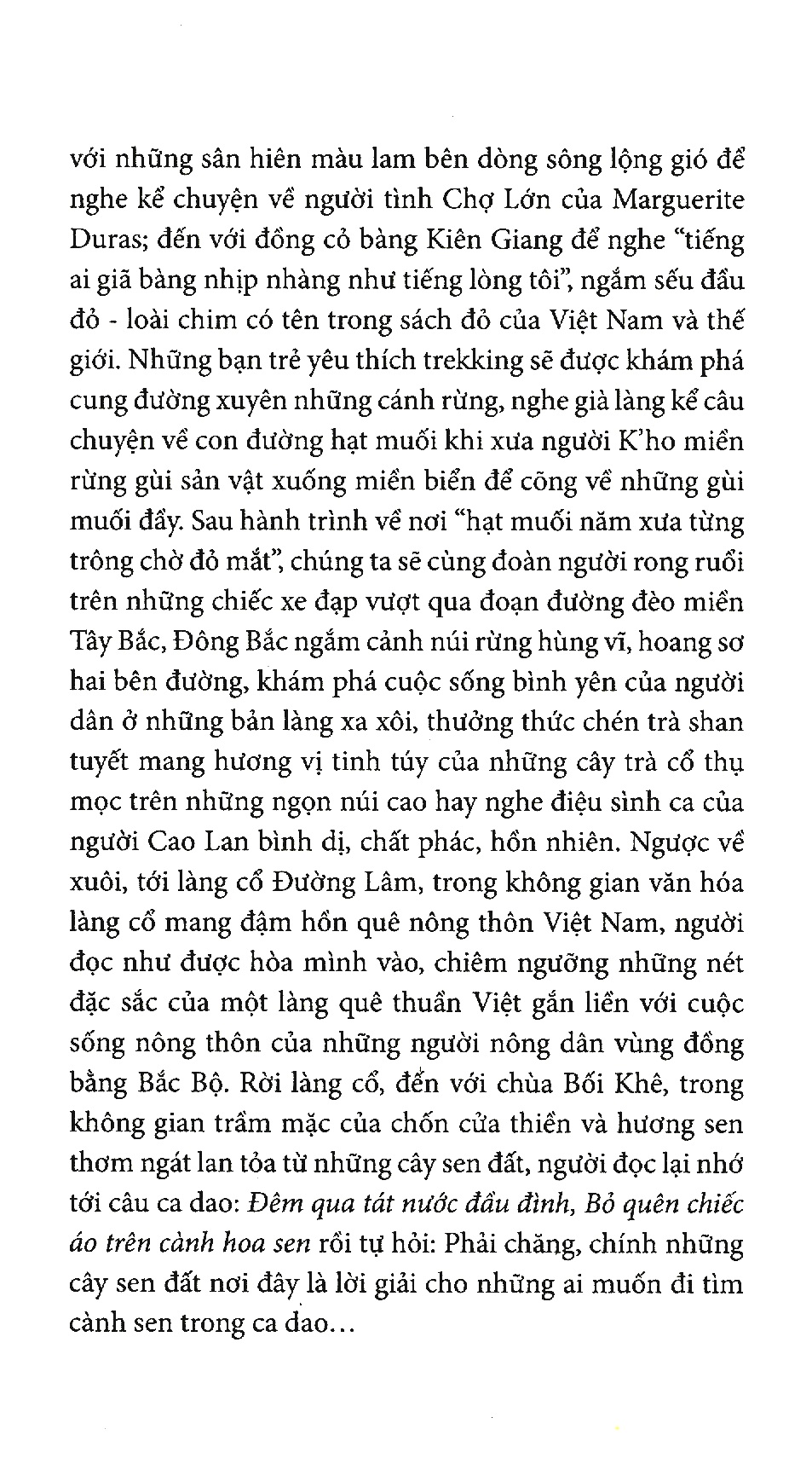 theo dấu chân người tình