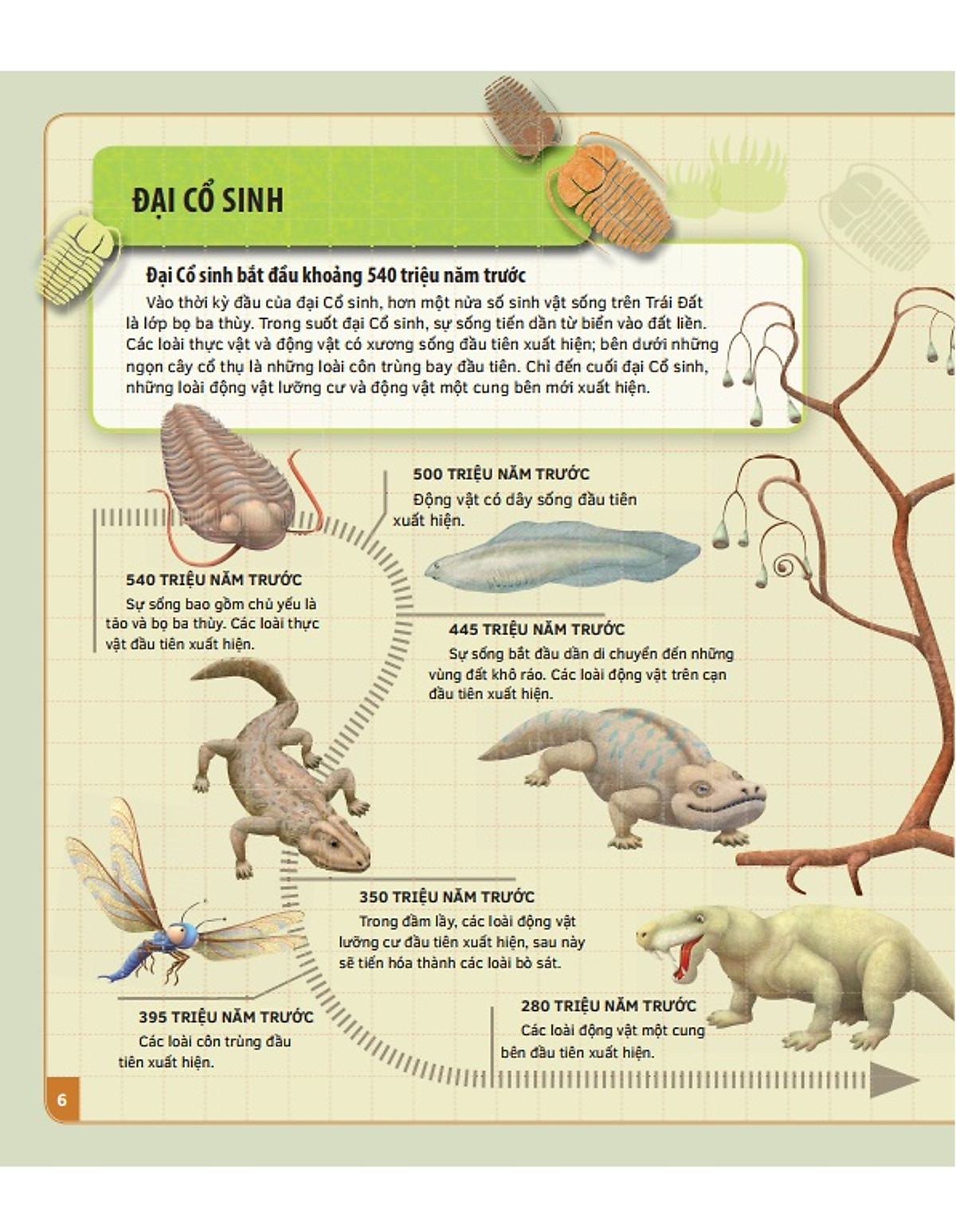 theo dòng thời gian - thời tiền sử