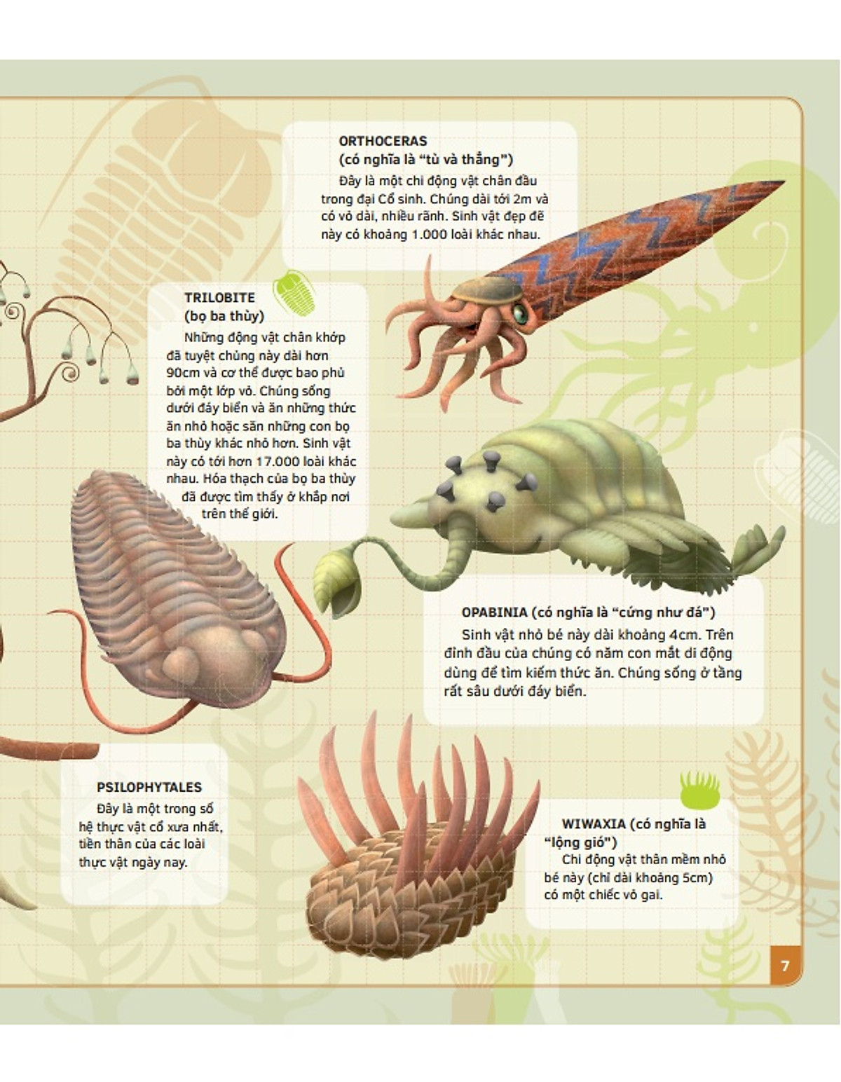 theo dòng thời gian - thời tiền sử