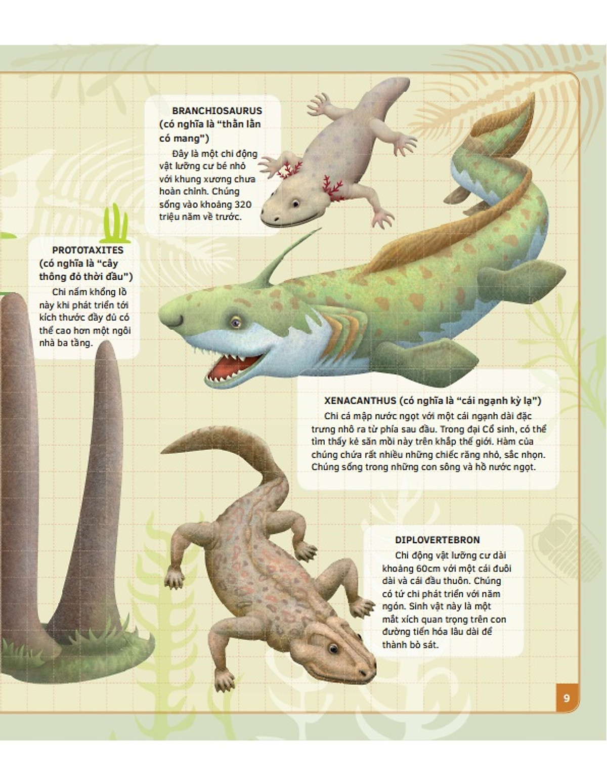 theo dòng thời gian - thời tiền sử