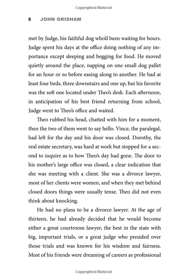 theodore boone: the accomplice