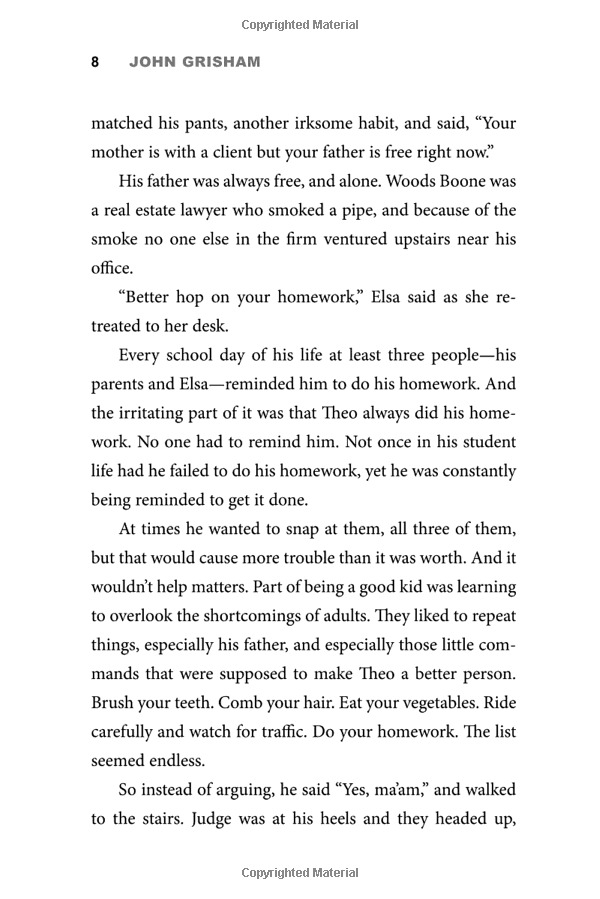 theodore boone: the accomplice