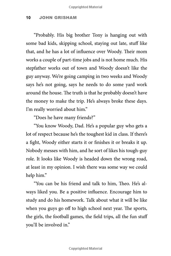 theodore boone: the accomplice