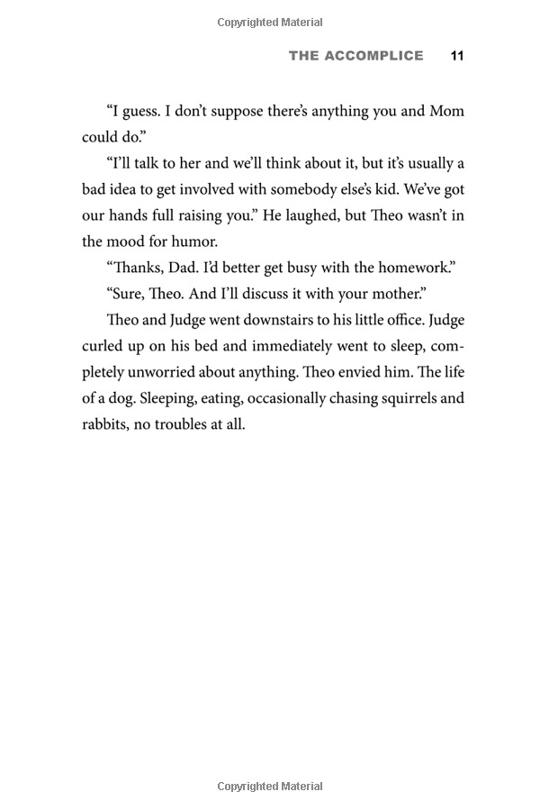 theodore boone: the accomplice