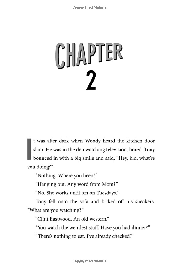 theodore boone: the accomplice