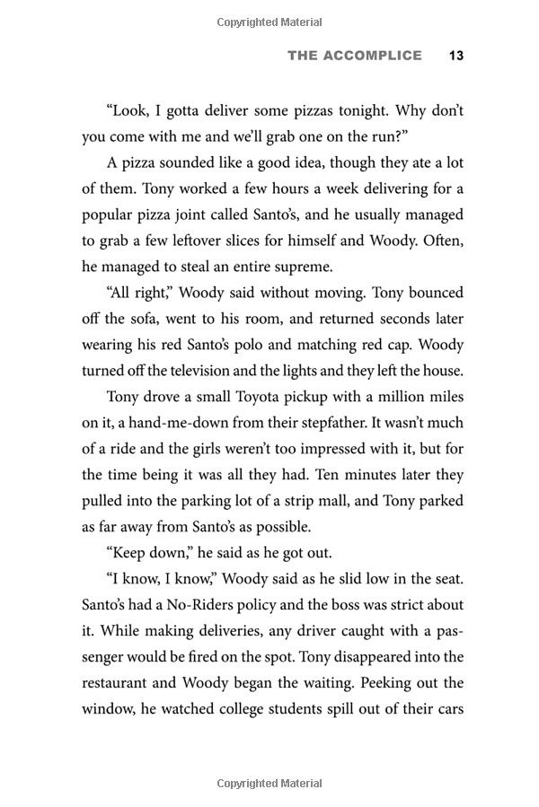 theodore boone: the accomplice